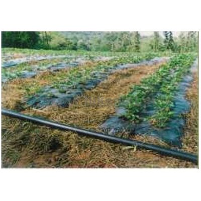 Rury LDPE IRRIGA do nawodnień kroplowych