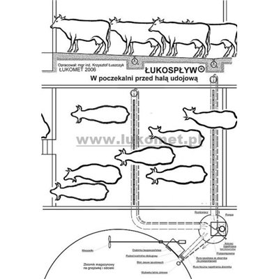 ŁUKOSPŁYW KG system do poczekalni hali udojowej
