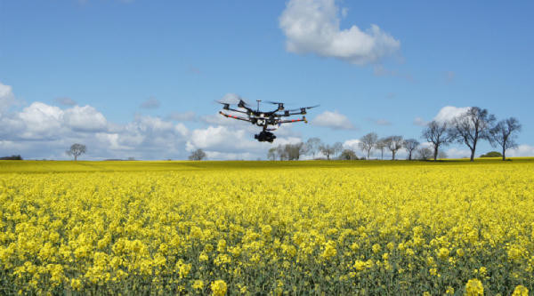 Nowoczesne rolnictwo - jak wygląda i jakie są jego zalety?