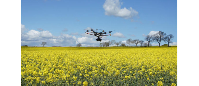 Nowoczesne rolnictwo - jak wygląda i jakie są jego zalety?