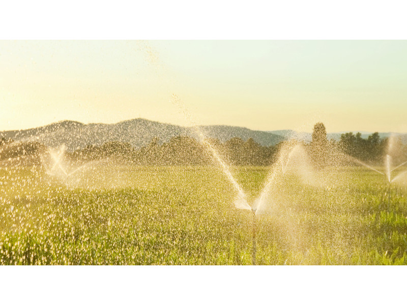 ROLNICTWO 4.0  - czym jest?